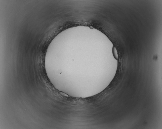 X0000116581058200912312010