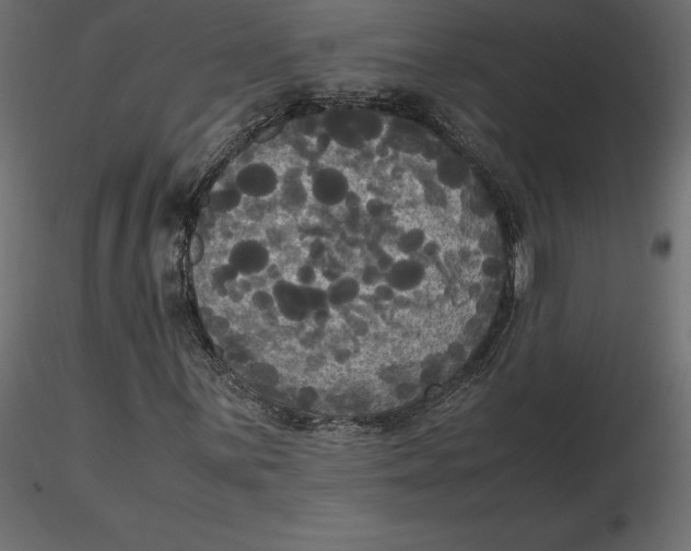 X0000116581059200912312010