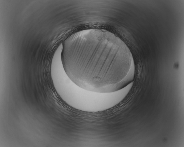 X0000116581060200912312010