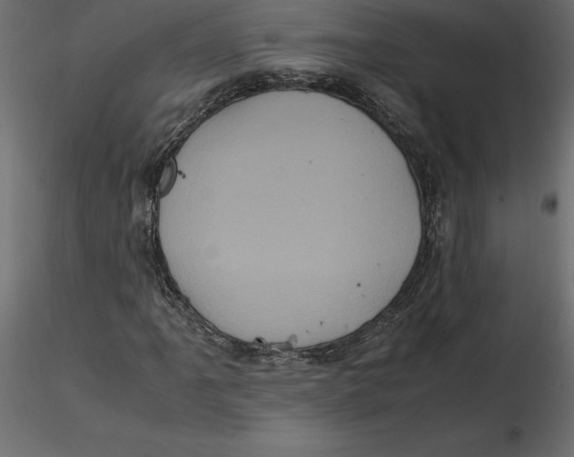 X0000116581061200912312010