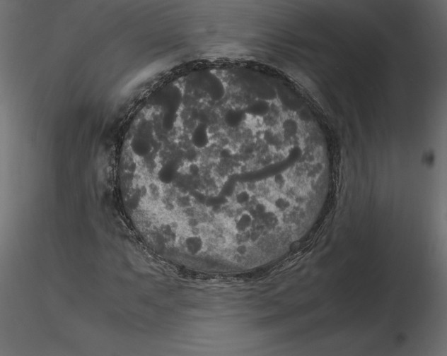 X0000116581063200912312009