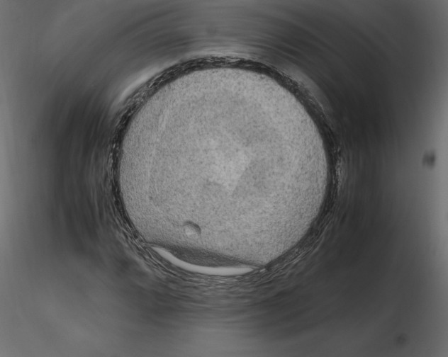 X0000116581064200912312009