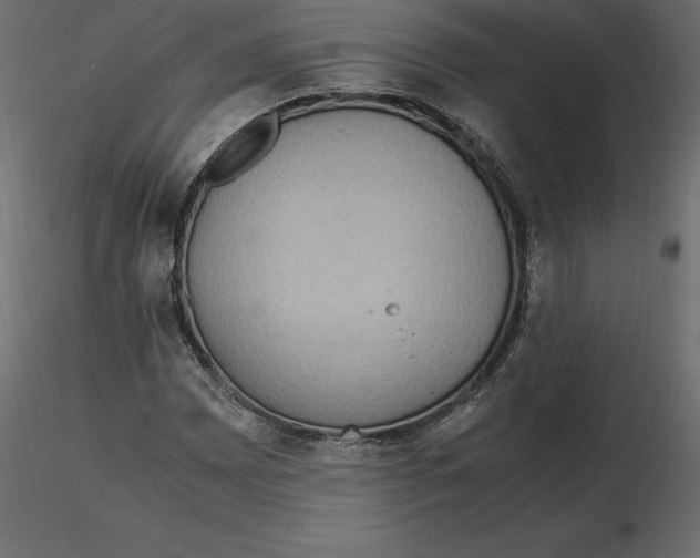 X0000116581065200912312009