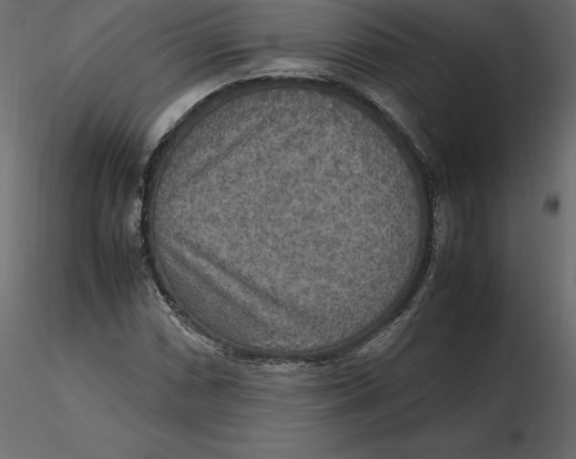 X0000116581066200912312009