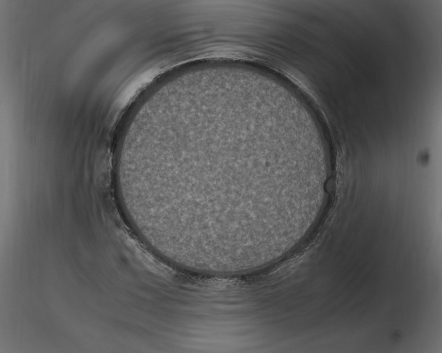 X0000116581067200912312009