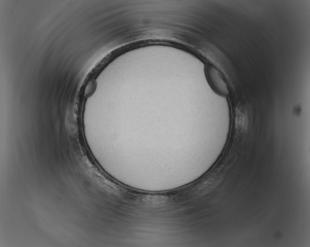 X0000116581068200912312009