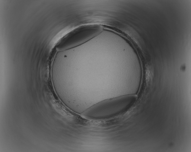 X0000116581069200912312009