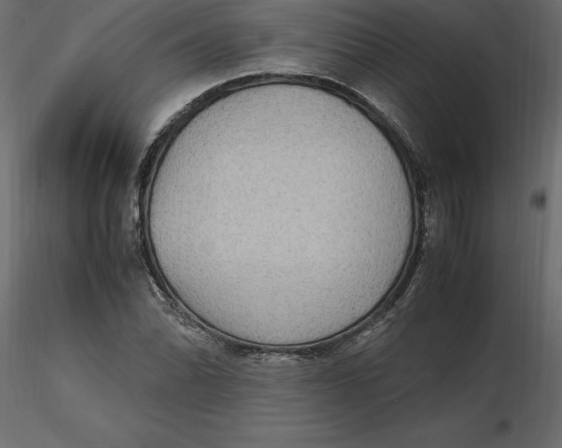 X0000116581070200912312009