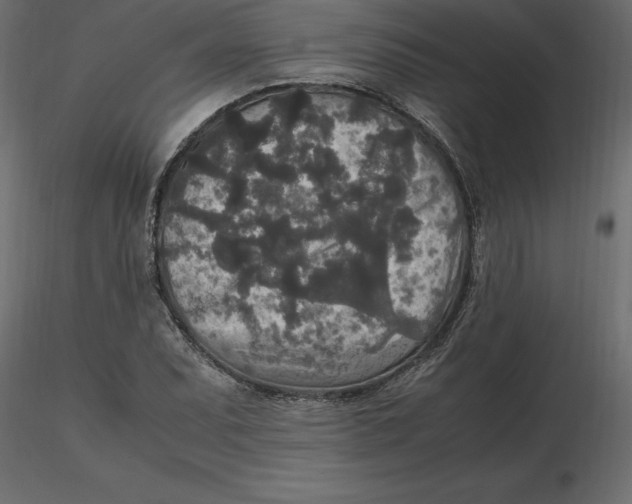 X0000116581071200912312009