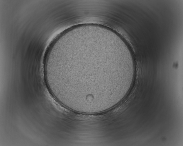 X0000116581072200912312009