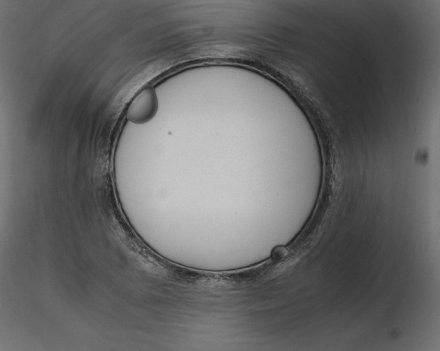 X0000116581073200912312009