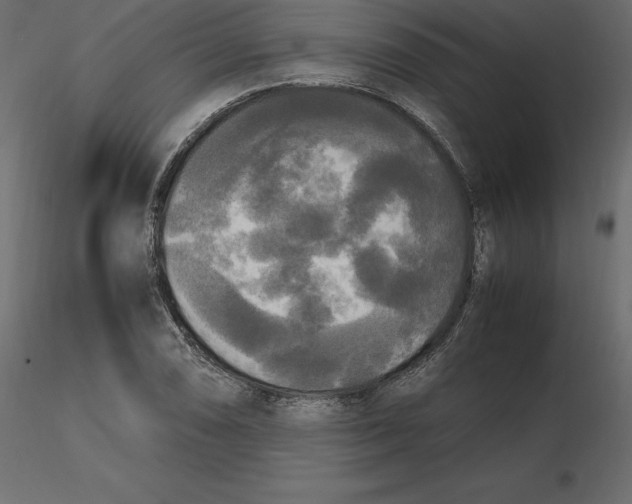 X0000116581074200912312009