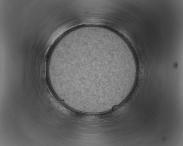 X0000116581075200912312009