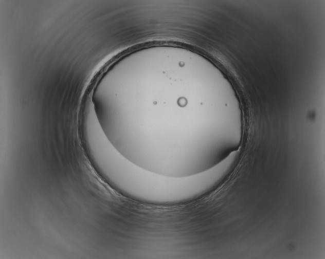 X0000116581076200912312009