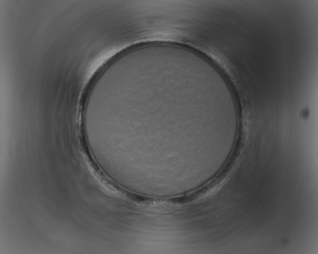 X0000116581077200912312009