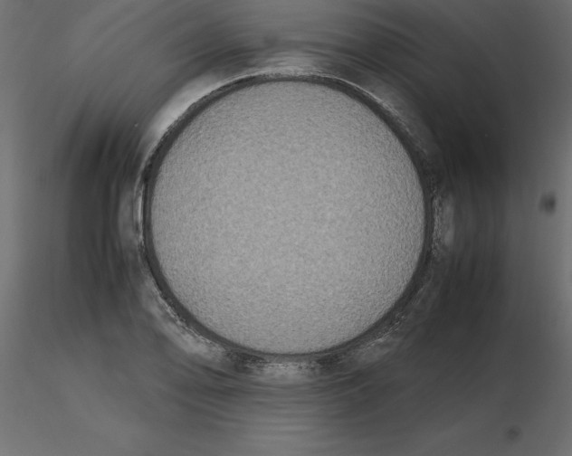 X0000116581078200912312009