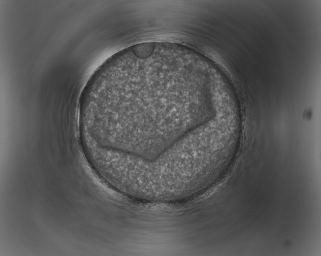 X0000116581079200912312009