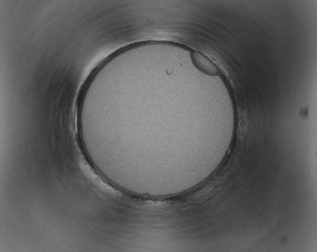 X0000116581080200912312009