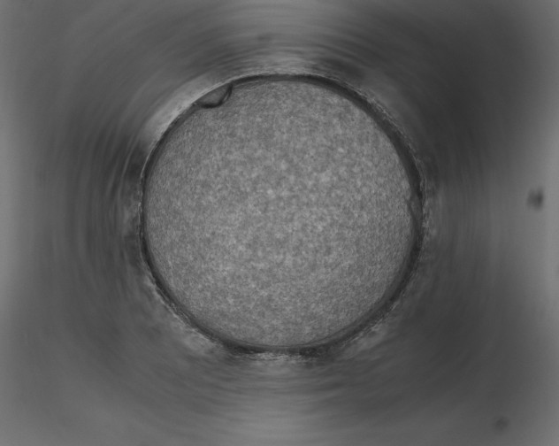 X0000116581081200912312009