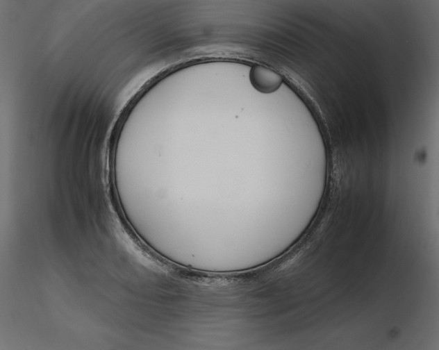 X0000116581082200912312009