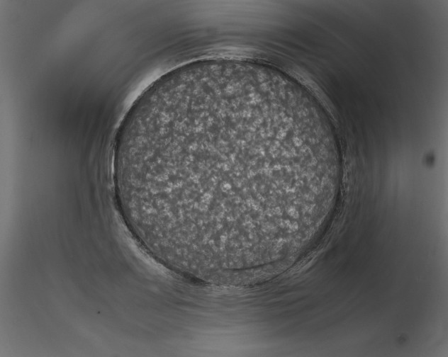 X0000116581083200912312009