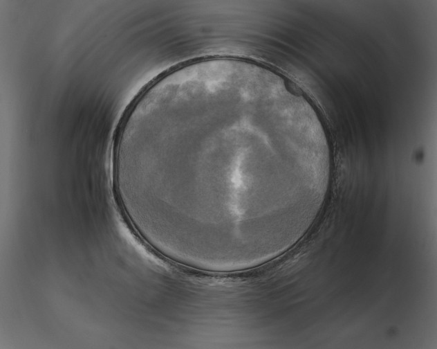 X0000116581084200912312009