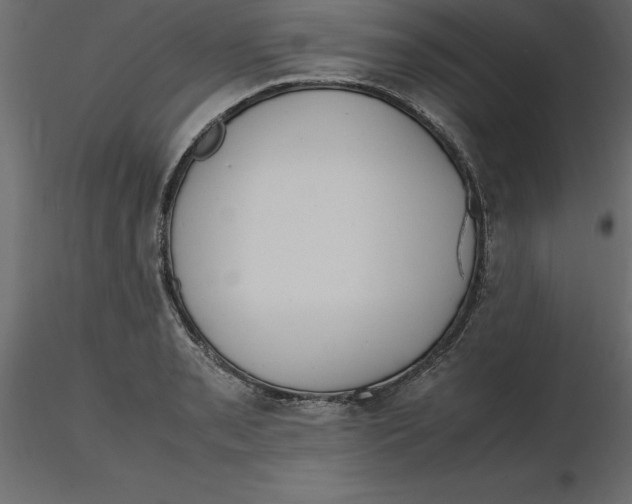 X0000116581085200912312009