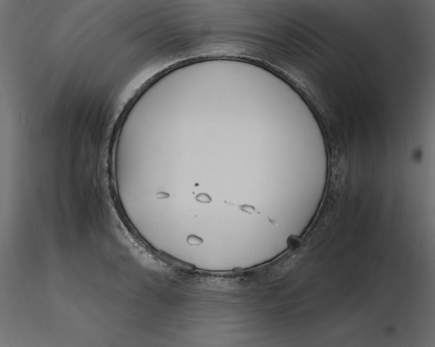 X0000116581086200912312009