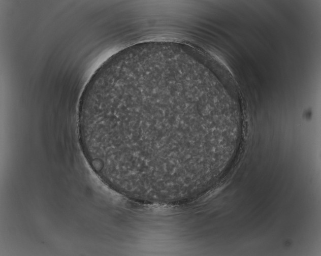 X0000116581087200912312009