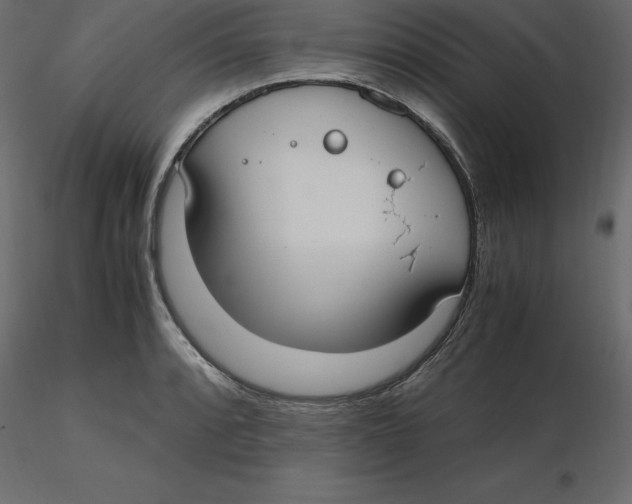 X0000116581088200912312009