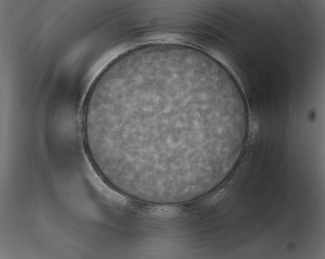 X0000116581090200912312009