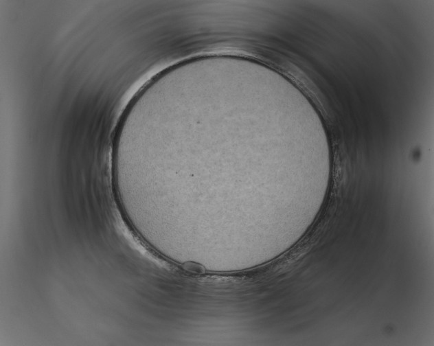 X0000116581092200912312009