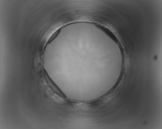 X0000116581097200912312009