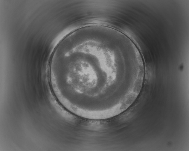 X0000116581098200912312009