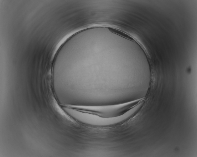 X0000116581100200912312009