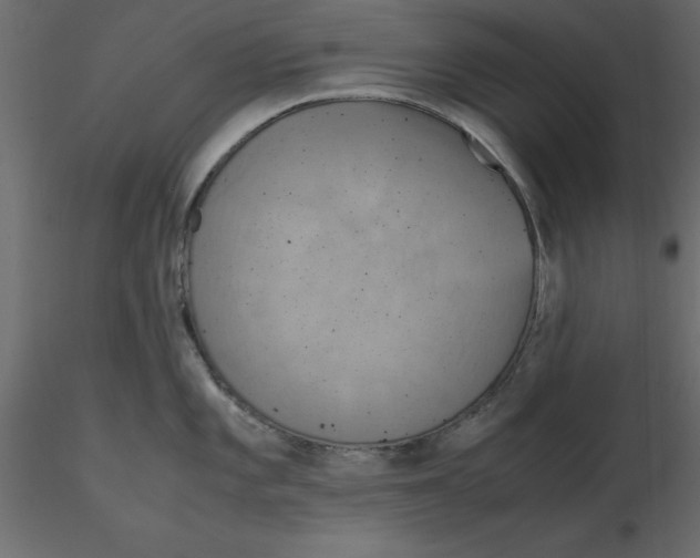 X0000116581101200912312009