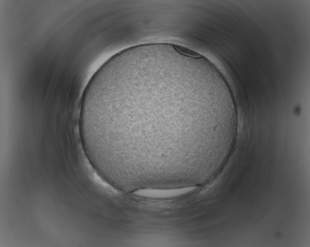 X0000116581102200912312009