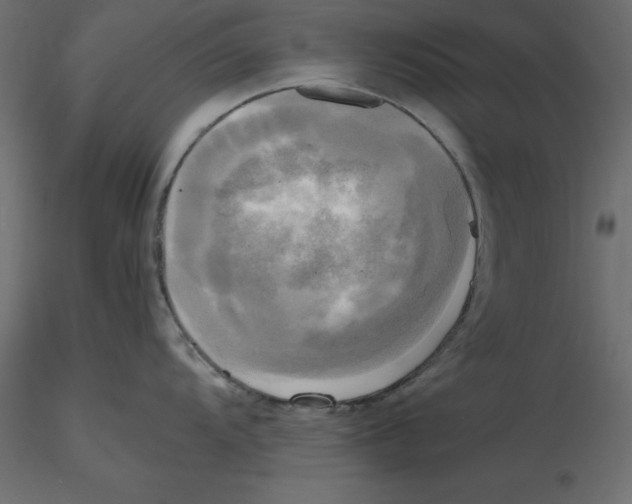 X0000116581104200912312009