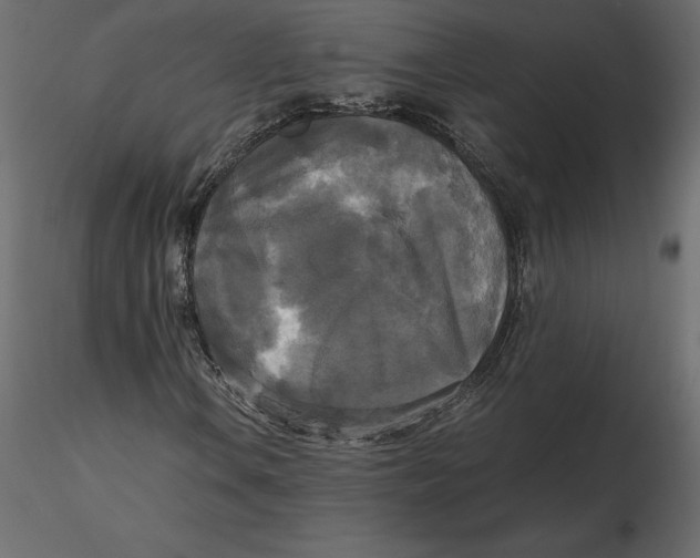 X0000116581106200912312008