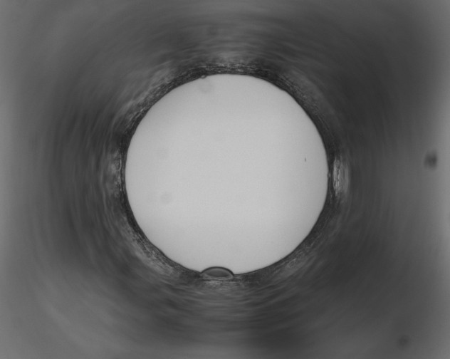 X0000116581107200912312008