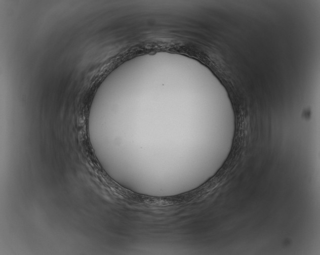 X0000116581109200912312008