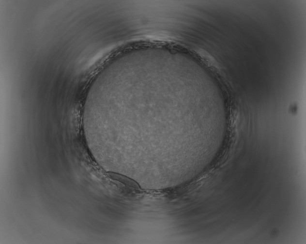 X0000116581110200912312008