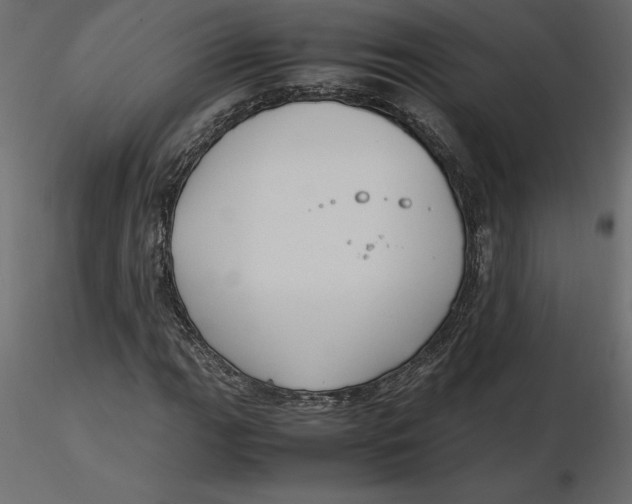 X0000116581111200912312008