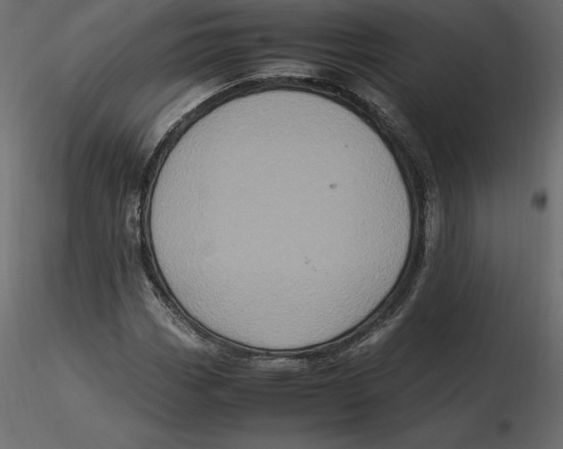 X0000116581113200912312008