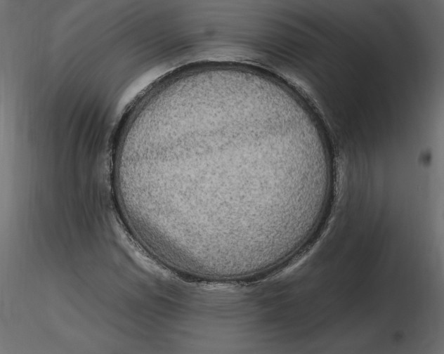 X0000116581114200912312008