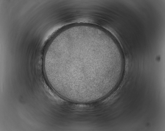 X0000116581115200912312008