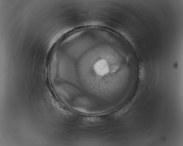 X0000116581117200912312008