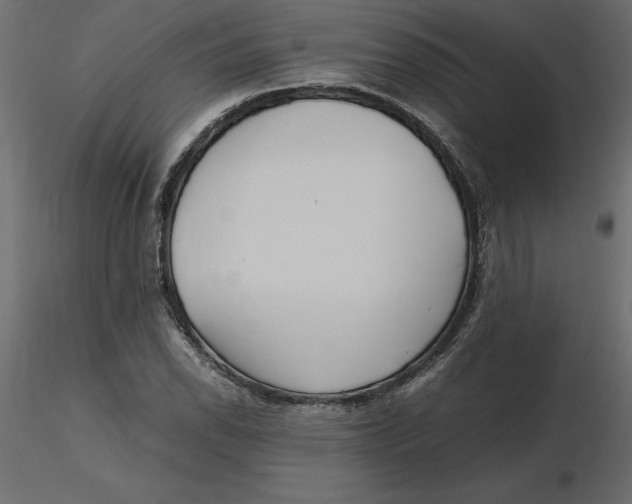 X0000116581118200912312008