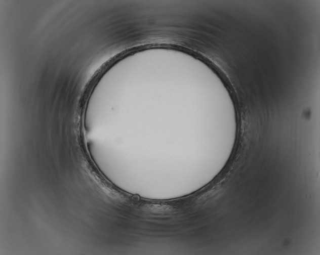 X0000116581119200912312008