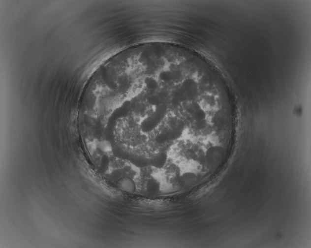 X0000116581121200912312008